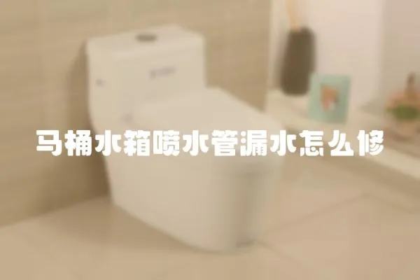 馬桶水箱噴水管漏水怎么修