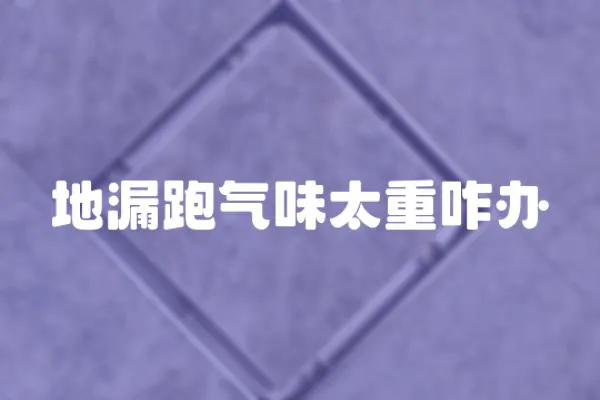 地漏跑氣味太重咋辦