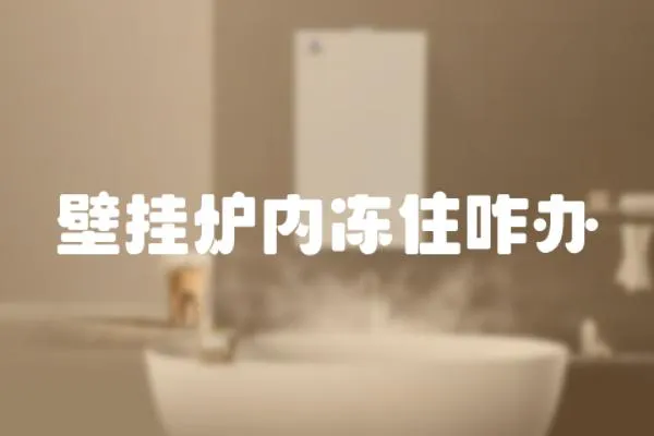 壁掛爐內凍住咋辦