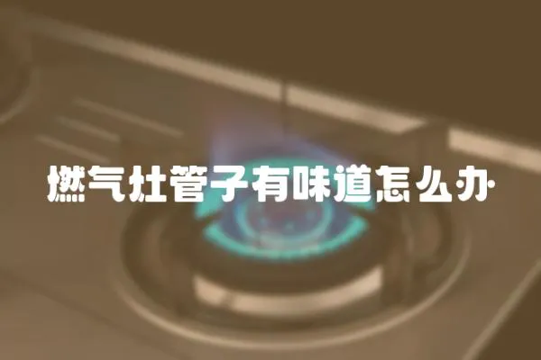 燃?xì)庠罟茏佑形兜涝趺崔k