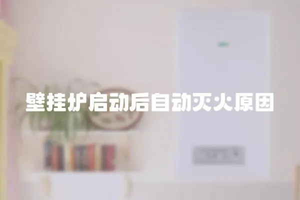 壁掛爐啟動后自動滅火原因