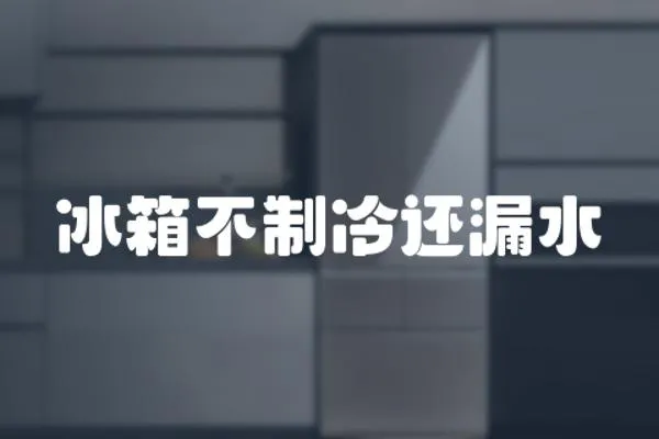 冰箱不制冷還漏水