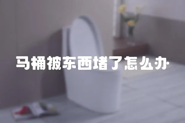 馬桶被東西堵了怎么辦