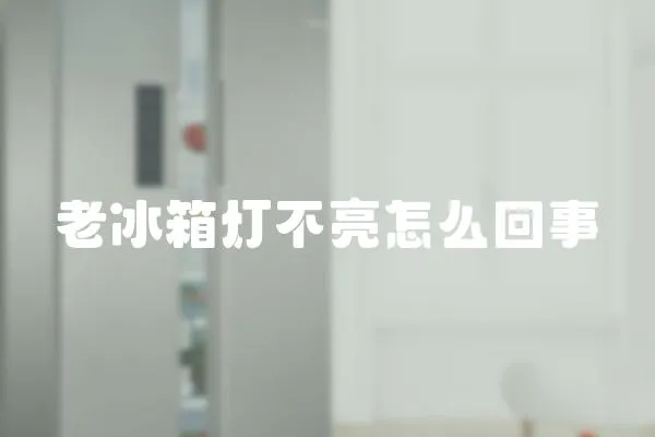 老冰箱燈不亮怎么回事