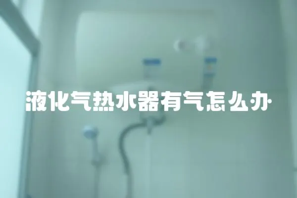 液化氣熱水器有氣怎么辦