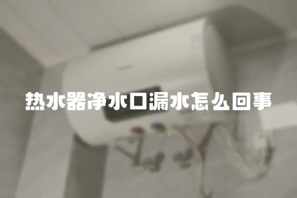 熱水器凈水口漏水怎么回事