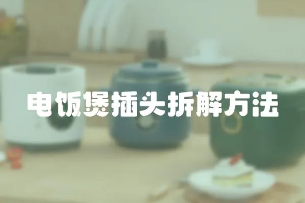 電飯煲插頭拆解方法
