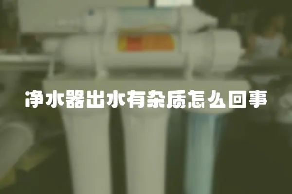 凈水器出水有雜質怎么回事