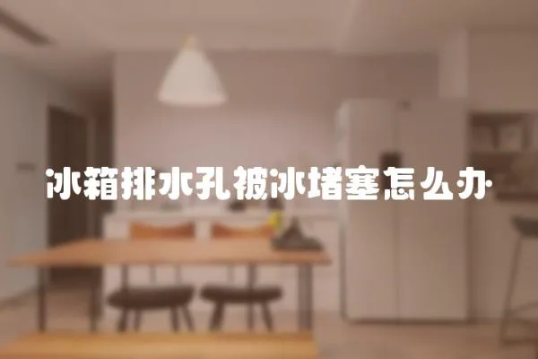 冰箱排水孔被冰堵塞怎么办