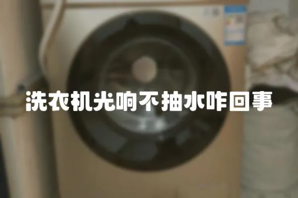 洗衣機光響不抽水咋回事