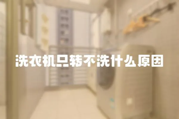 洗衣機(jī)只轉(zhuǎn)不洗什么原因