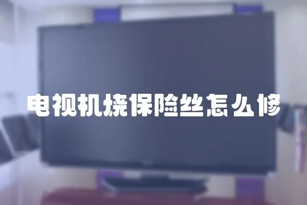 電視機燒保險絲怎么修