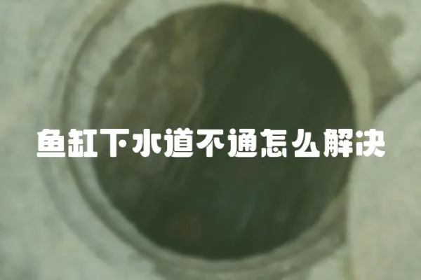 魚缸下水道不通怎么解決