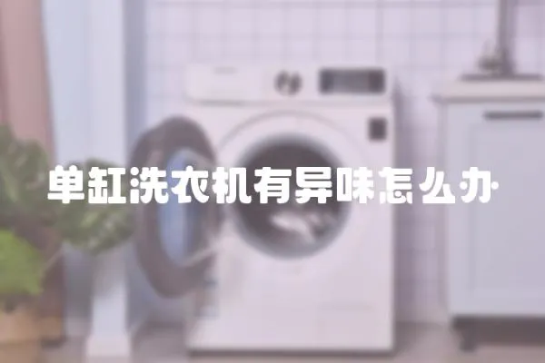 單缸洗衣機(jī)有異味怎么辦