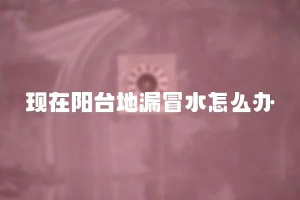 現在陽臺地漏冒水怎么辦