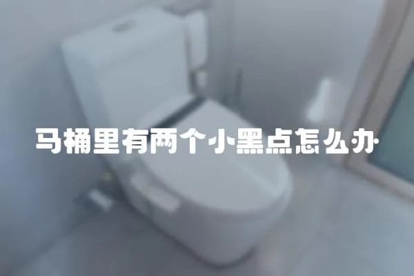 馬桶里有兩個小黑點怎么辦