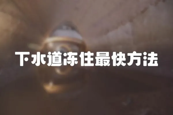 下水道凍住最快方法