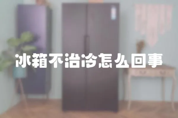 冰箱不治冷怎么回事