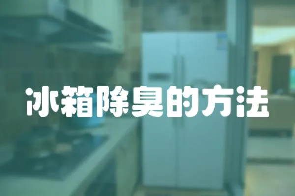 冰箱除臭的方法