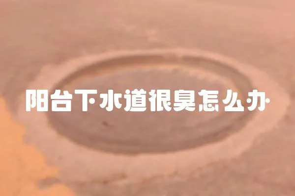 陽臺(tái)下水道很臭怎么辦