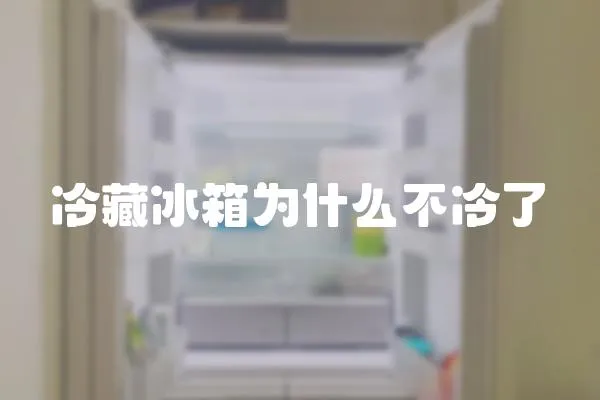 冷藏冰箱為什么不冷了