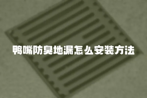 鴨嘴防臭地漏怎么安裝方法