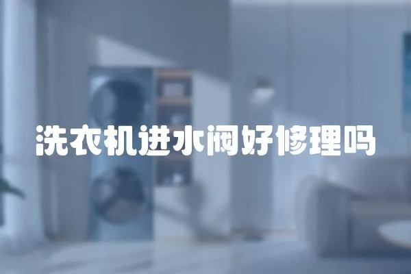 洗衣機進水閥好修理嗎