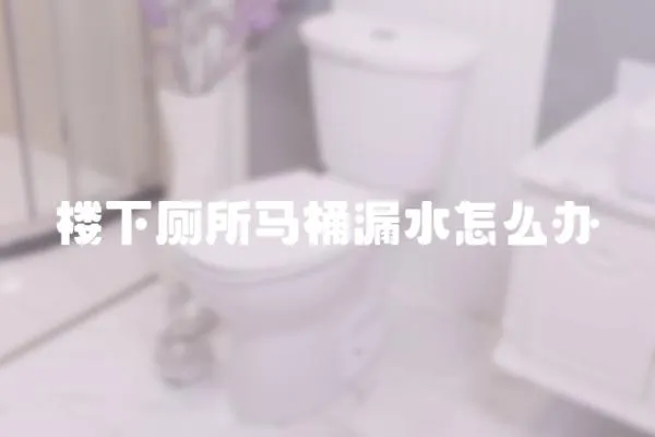 樓下廁所馬桶漏水怎么辦