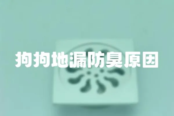 狗狗地漏防臭原因