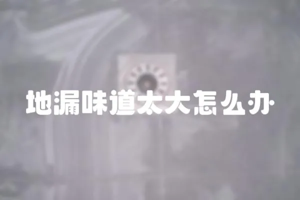 地漏味道太大怎么辦