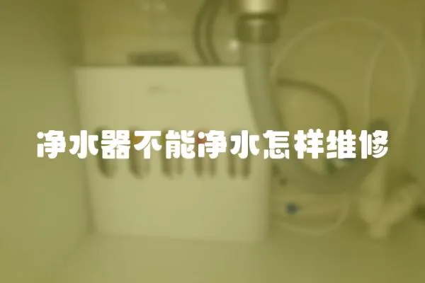 凈水器不能凈水怎樣維修