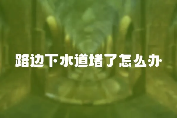 路邊下水道堵了怎么辦