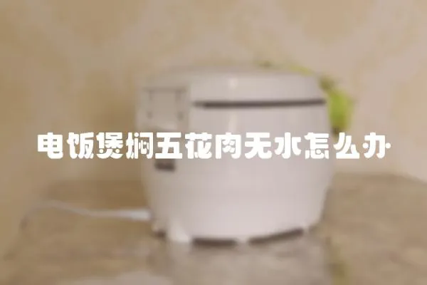 電飯煲燜五花肉無水怎么辦