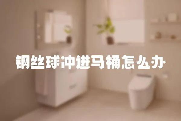 鋼絲球沖進馬桶怎么辦