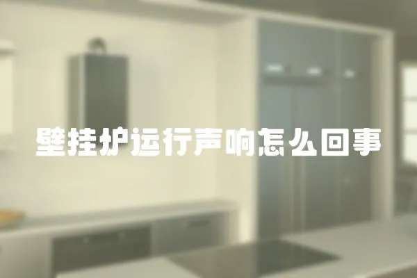 壁掛爐運(yùn)行聲響怎么回事