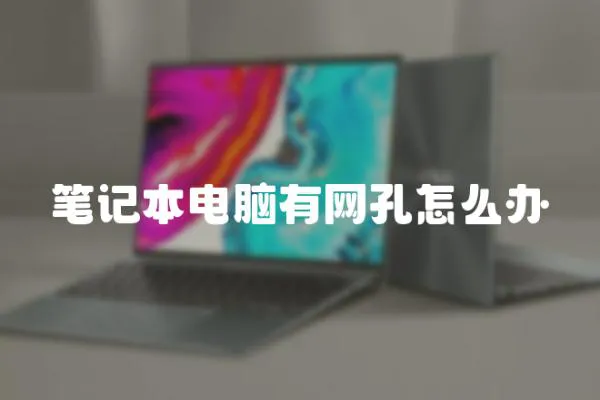 筆記本電腦有網(wǎng)孔怎么辦