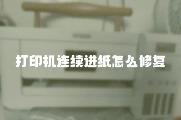 打印機(jī)連續(xù)進(jìn)紙?jiān)趺葱迯?fù)