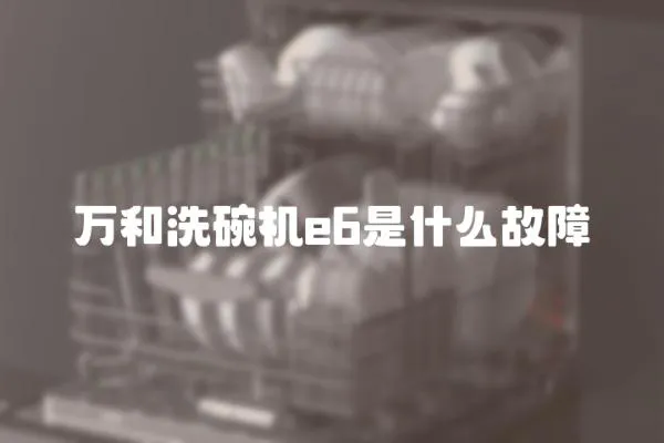 萬和洗碗機e6是什么故障
