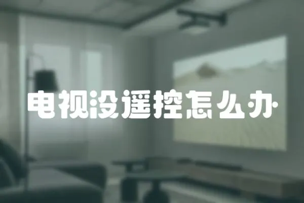 電視沒(méi)遙控怎么辦