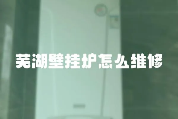 蕪湖壁掛爐怎么維修