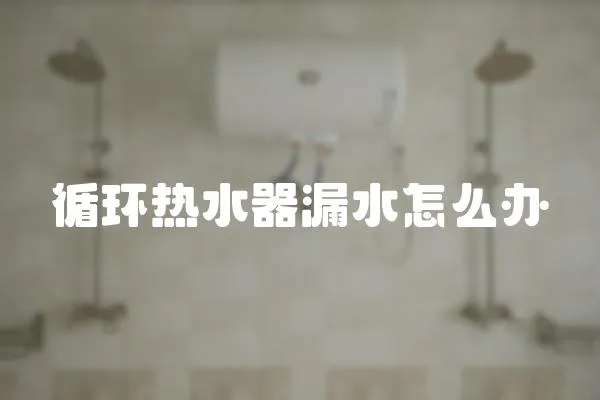 循環(huán)熱水器漏水怎么辦