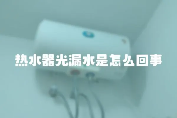 熱水器光漏水是怎么回事
