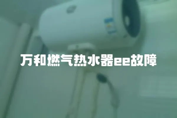 万和燃气热水器ee故障