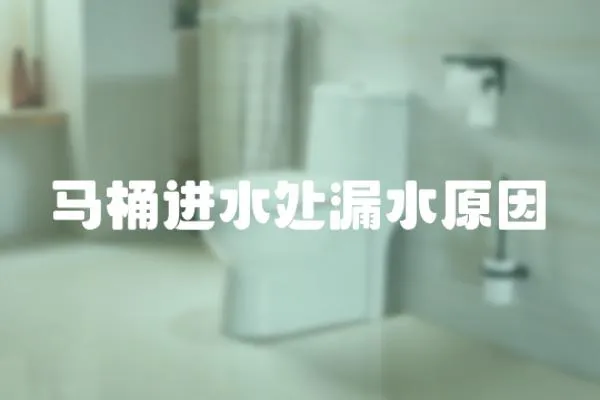 馬桶進(jìn)水處漏水原因