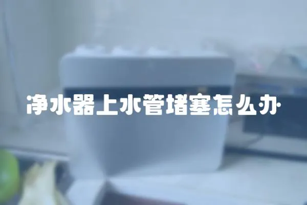 凈水器上水管堵塞怎么辦