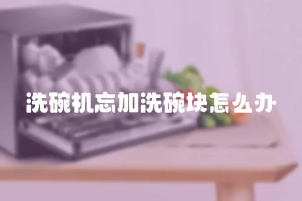 洗碗機(jī)忘加洗碗塊怎么辦