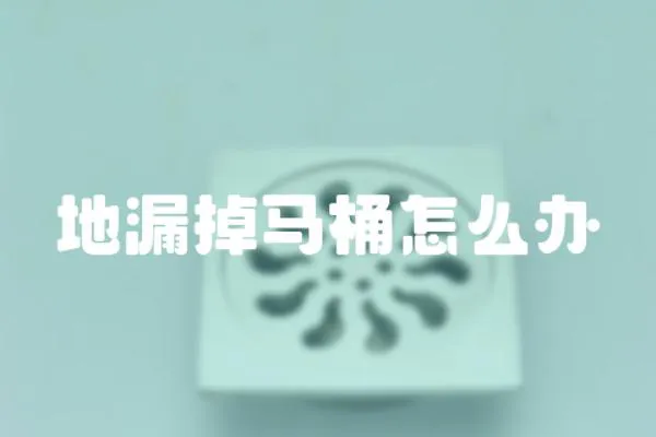 地漏掉馬桶怎么辦