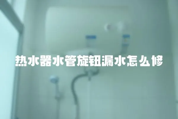 熱水器水管旋鈕漏水怎么修