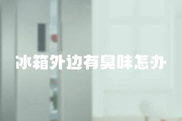 冰箱外邊有臭味怎辦