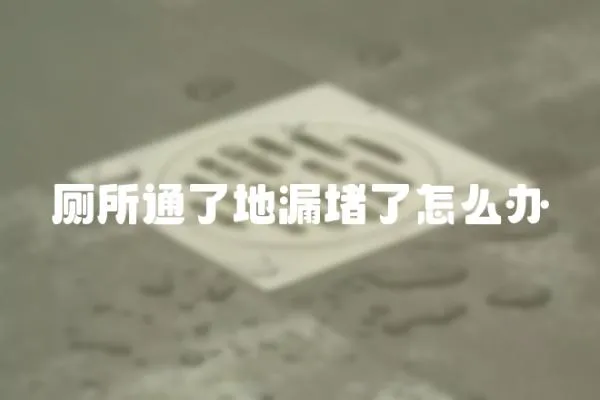 廁所通了地漏堵了怎么辦